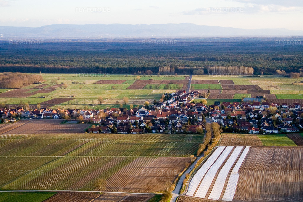 Luftbild: Dorfansicht von Norden in Freckenfeld im Bundesland Rheinland-Pfalz in Deutschland. Foto: IMG_9881.jpg vom 18.03.2008 durch Werner Riehm/FLY-FOTO.de