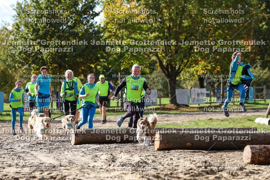 Dog Paparazzi - Strongdog 10-25-5577 | Dog Paparazzi Jeanette Grottendiek Fotografie & Videografie - Realisiert mit Pictrs.com