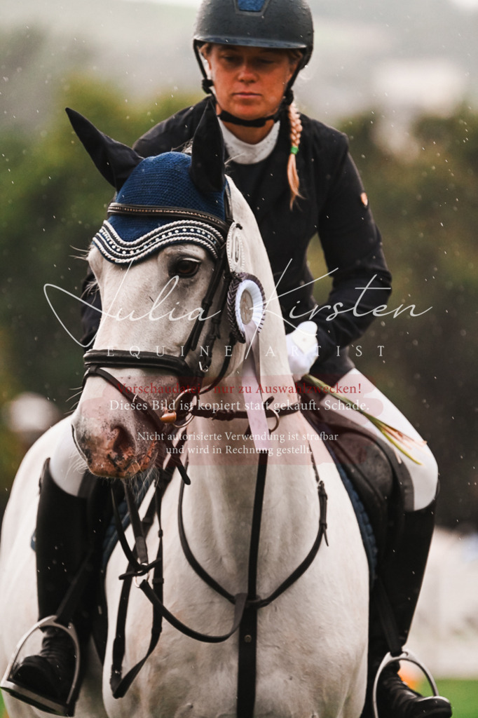 DSC_6210 | Pferde- und Turnierfotografie in Westsachsen. Pferdeportraits, Auftragszeichnungen und intuitive Kunst.