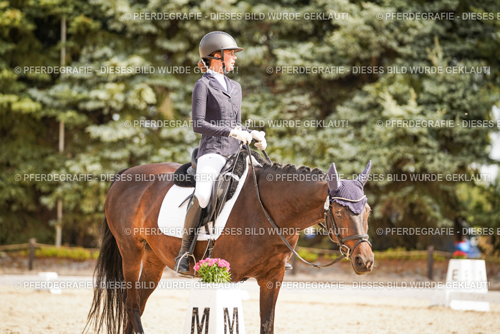 DSC01599 | Pferdegrafie