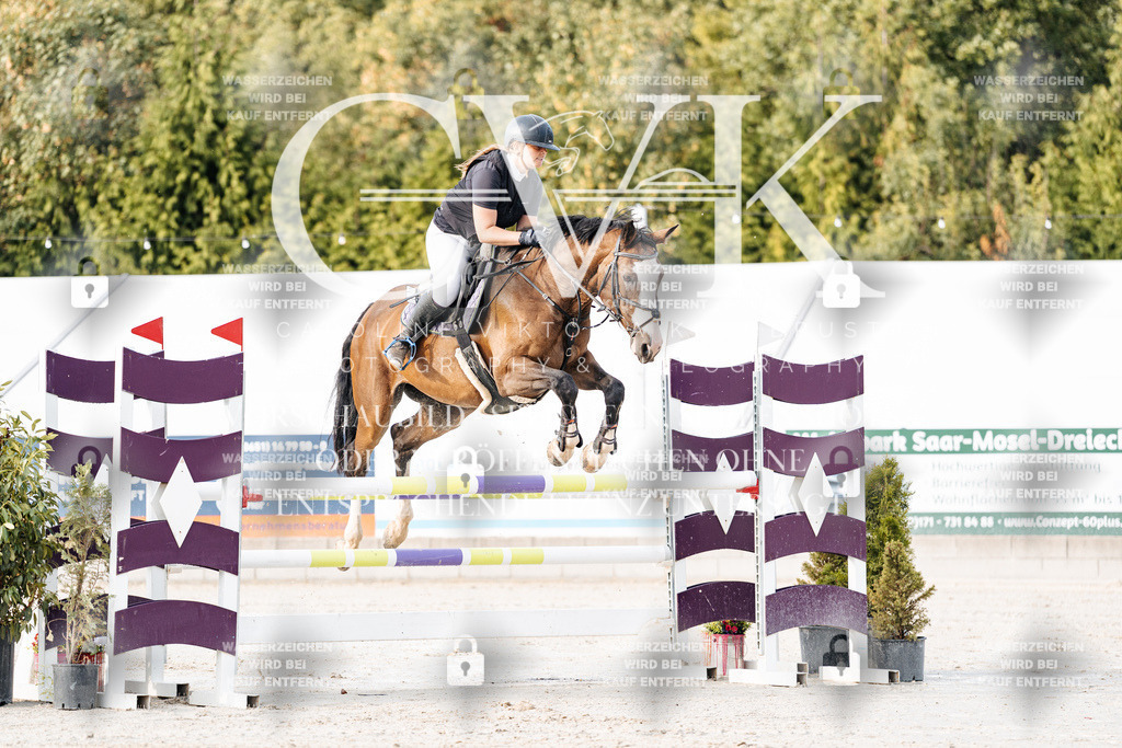 CK903245 | Turnierfotografie Pferdefotografie Trier Rheinland-Pfalz Pferdesport Reitsport Tierfotografie Sportfotografie Pferdevideo Pferdevideografie Equestrianvideography equestrianphotography  - Realisiert mit Pictrs.com