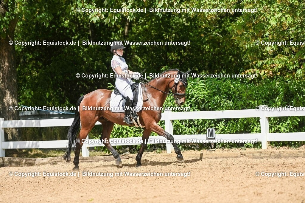 20230715_02_Dressurreiterprüfung Kl.L_0207 | equistock