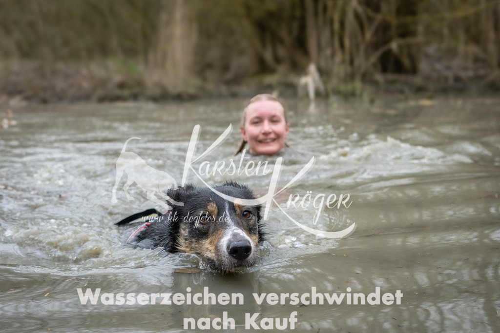 1115_ZZ98045 | kk-dogfotos