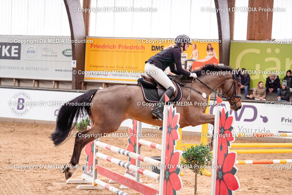 Kranichstein Tag 3-403 | dv-media-shop - Realisiert mit Pictrs.com