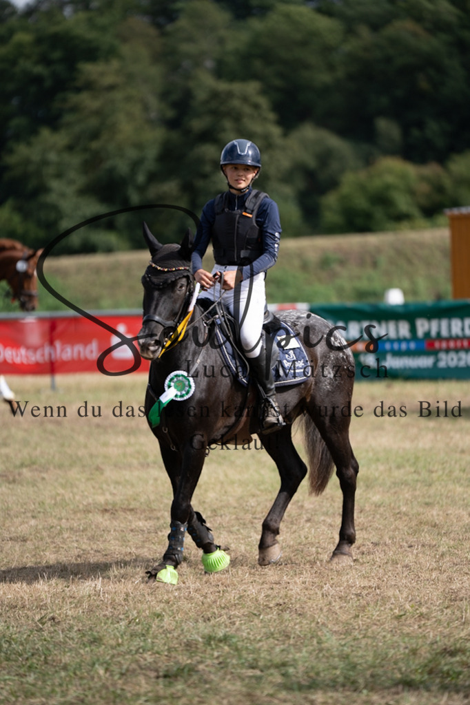 A7V01185 | Pferdefotograf