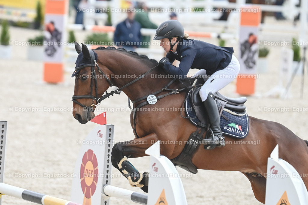 20230514_CCI2_Section1_Springen_0059 | equistock