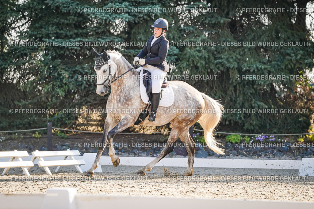 DSC08545 | Pferdegrafie