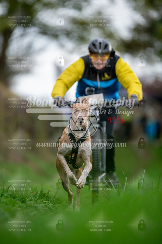 TSB_2023_E8_Bike-82 | PayLife