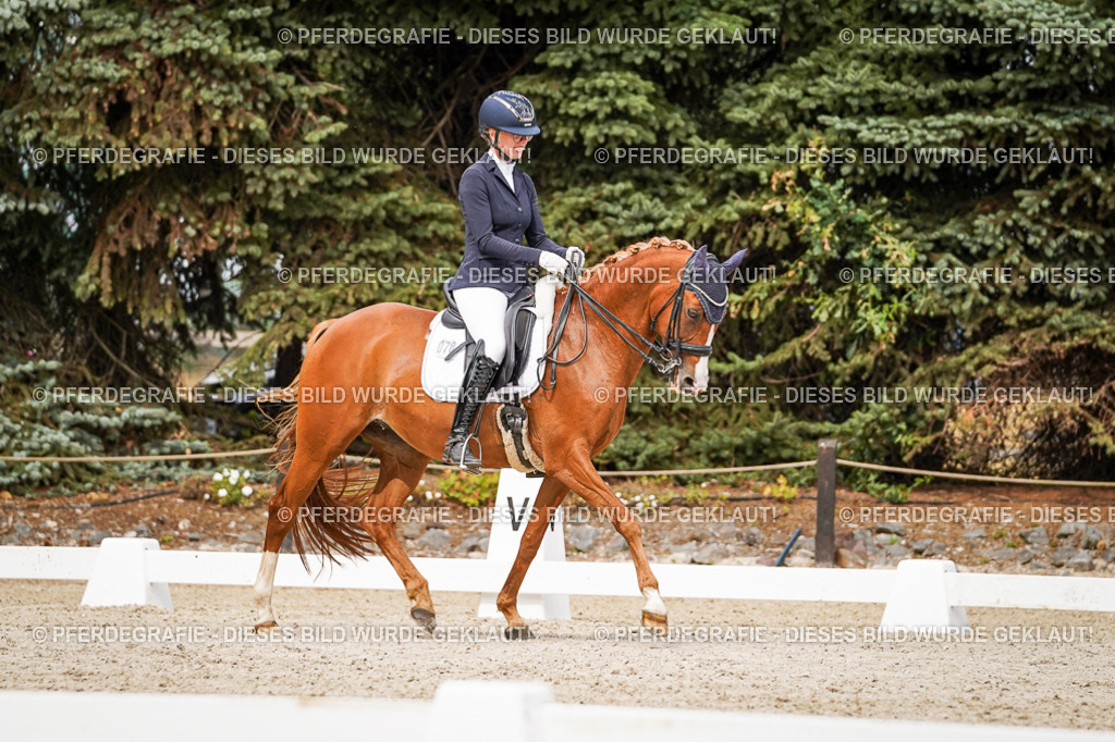 DSC07027 | Pferdegrafie