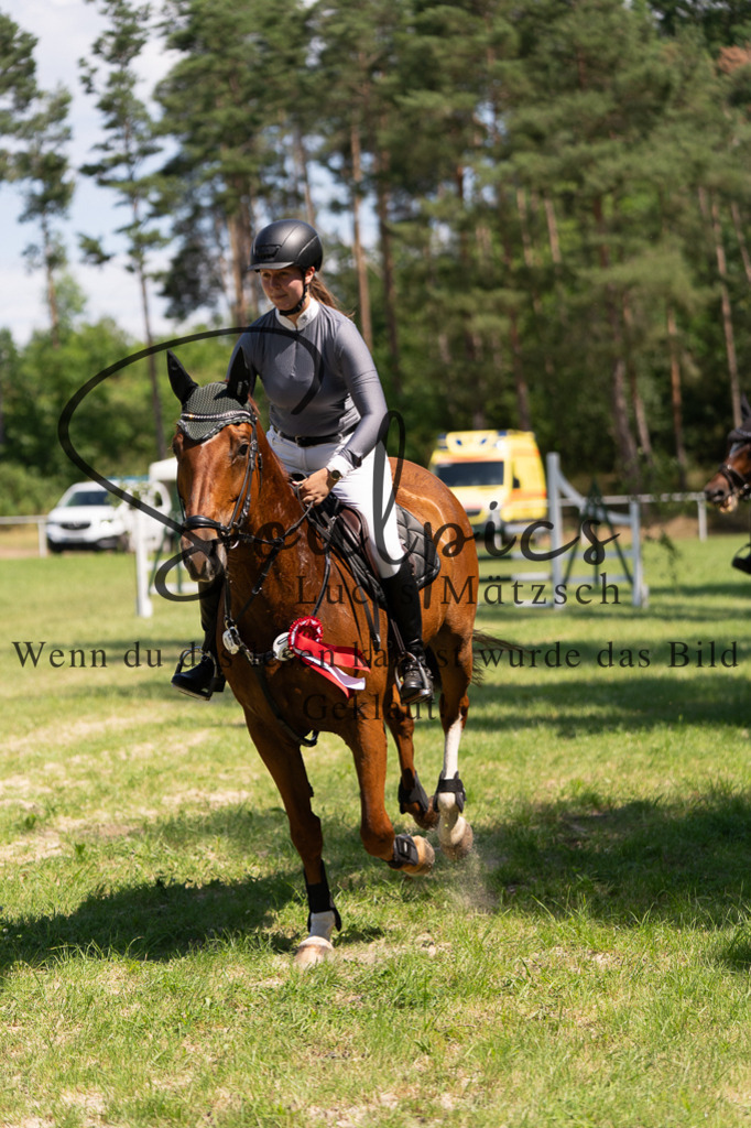 A7501000 | Turnier/Reitfotograf