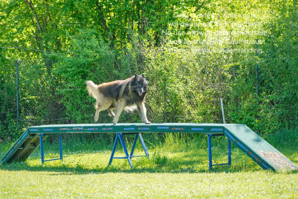 Sa_VK3_03-36 | stephaniefillaphotographie - Realisiert mit Pictrs.com