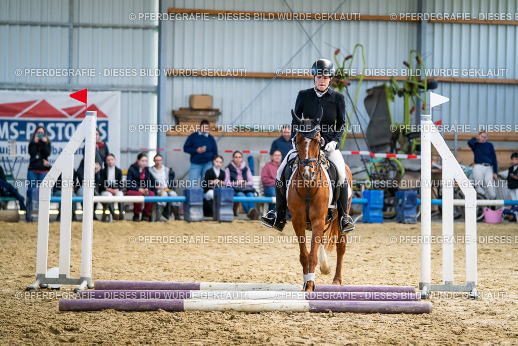 DSC02061 | Pferdegrafie