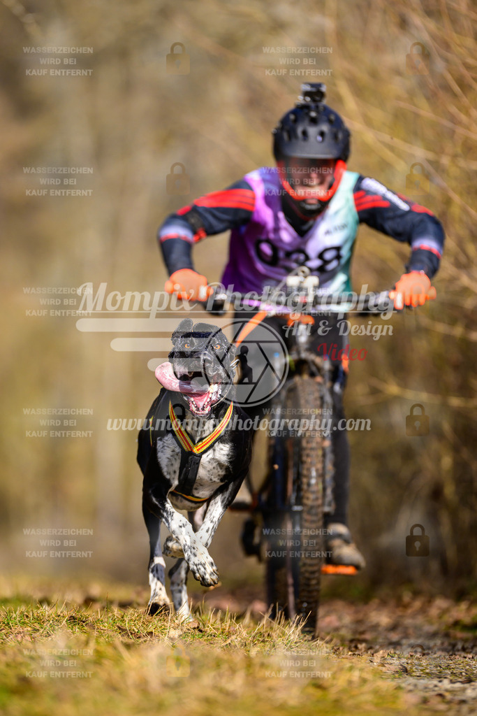MompixPhotography_Schwabentrail2025_SO_Bike-5 | PayLife