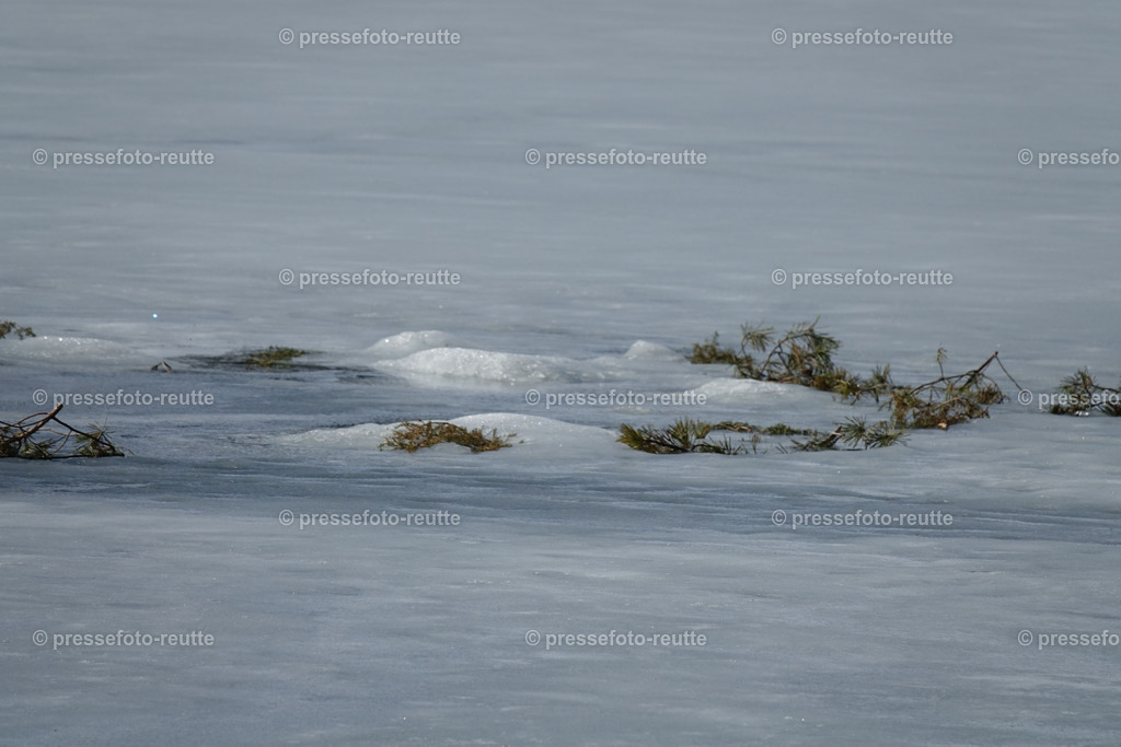 welltvi-Weissenbach_Baggersee-Winter_06032019-DSC06937 | Info aus dem Bezirk Reutte/Ausserfern Tirol sowie eine umfangreiche Bilddatenbank über die gesamte Region: Lechtal, Talkessel Reutte, Tannheimertal, Zwischentoren. Lech, Plansee, Zugspitze, Grenztunnel, B179, Fernpassstraße, Verkehr, Lawinen, Tradition, - Realisiert mit Pictrs.com