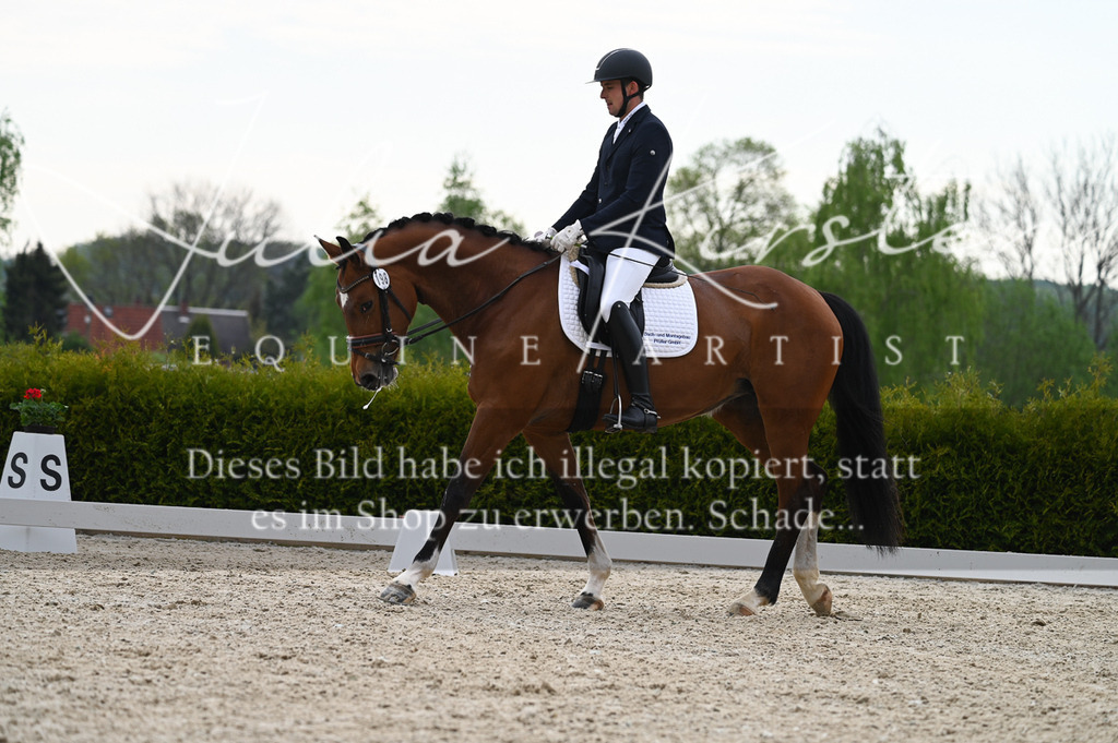 20230512_JK-Röhrsdorf-02-243 | Pferde- und Turnierfotografie in Westsachsen. Pferdeportraits, Auftragszeichnungen und intuitive Kunst.