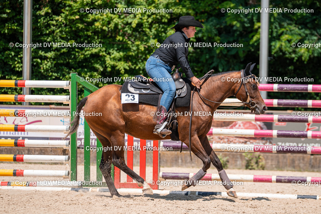 Zeiskam Tag 1-524 | dv-media-shop - Realisiert mit Pictrs.com