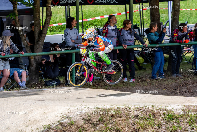 BayBMX2026-06606 | Fotogalerie von Thomas Dettweiler mit Eventbildern und lizenzfreien Fotos. Perfekt als Wandbild, für Büro, Website oder private Nutzung. - Realisiert mit Pictrs.com