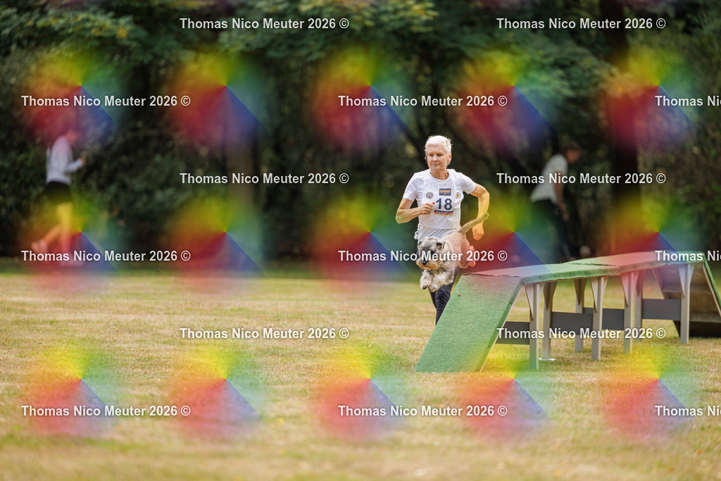Thomas_Nico_Meuter(C)_22. August 2026_223A4881 | Bild von Thomas Nico Meuter - Realisiert mit Pictrs.com