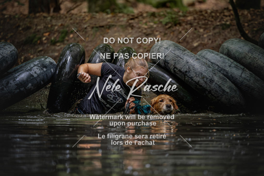 nelerasche_SaWingst1130-1200_117 | nelerasche