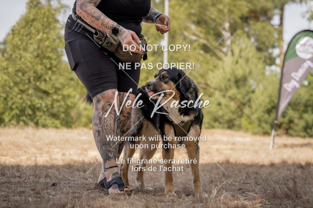 nelerasche_soDD2_261 | nelerasche