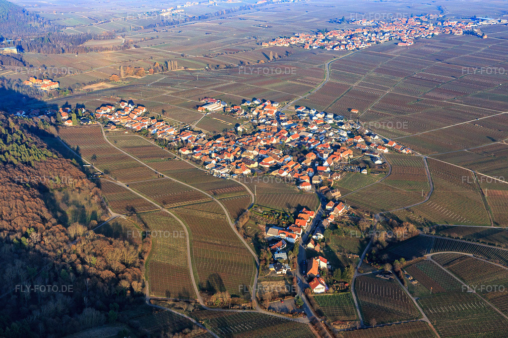 Luftbild: Winzerdorf im Winter von Südwesten in Weyher in der Pfalz im Bundesland Rheinland-Pfalz in Deutschland. Foto: IMG_112536.jpg vom 21.01.2019 durch Werner Riehm/FLY-FOTO.de