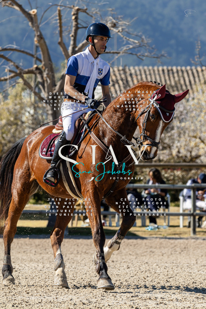 IMG_1167 | s-jay-photography - Realisiert mit Pictrs.com