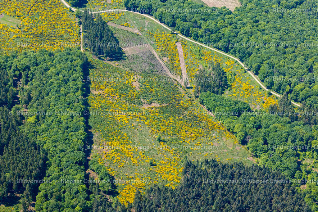 Luftbilder Gürzenich-2903 | Luftbildfotografie und Luftbilder Gürzenich - Realisiert mit Pictrs.com