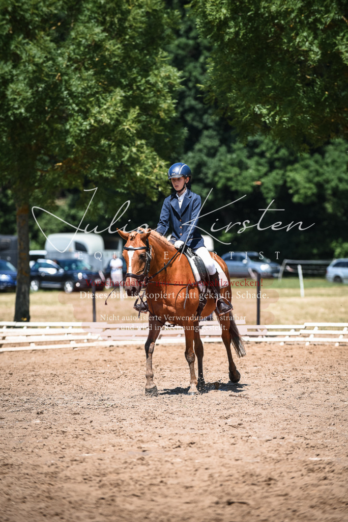 DSC_2932 | Pferde- und Turnierfotografie in Westsachsen. Pferdeportraits, Auftragszeichnungen und intuitive Kunst.