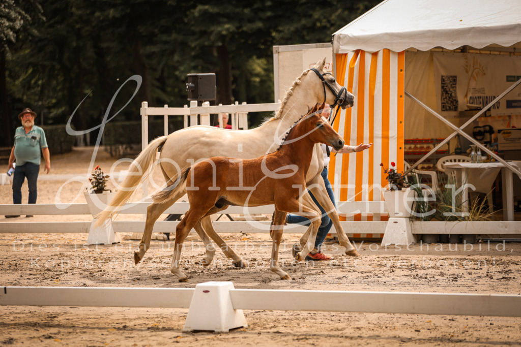 SaPA00092 | Leoni Ertmer Photography - Realisiert mit Pictrs.com