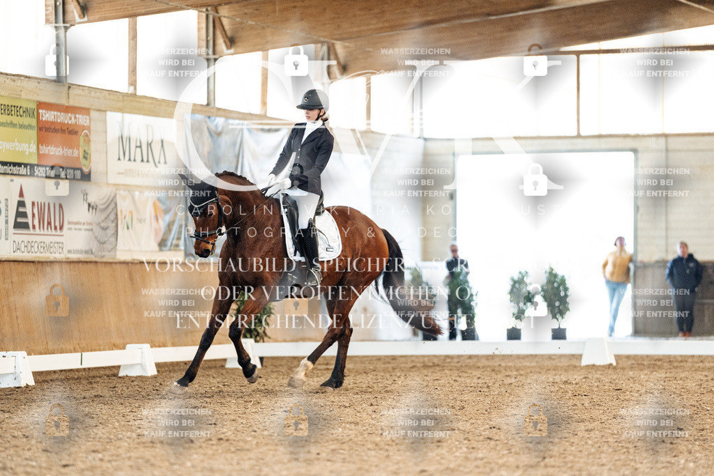 CK909264 | Turnierfotografie Pferdefotografie Trier Rheinland-Pfalz Pferdesport Reitsport Tierfotografie Sportfotografie Pferdevideo Pferdevideografie Equestrianvideography equestrianphotography  - Realisiert mit Pictrs.com