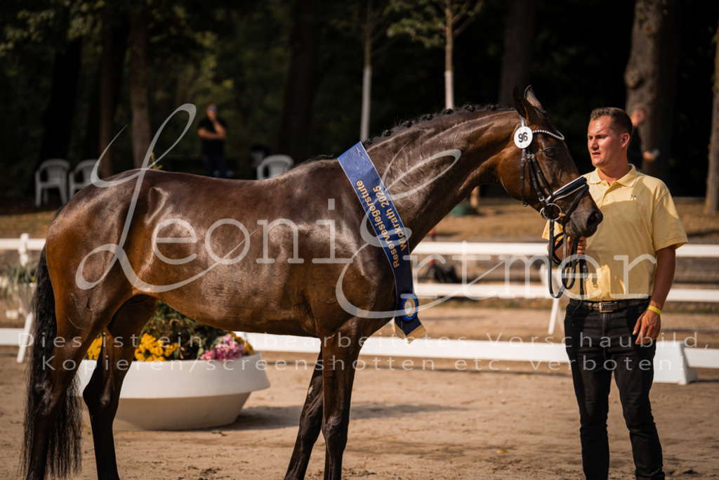 FrER00274 | Leoni Ertmer Photography - Realisiert mit Pictrs.com