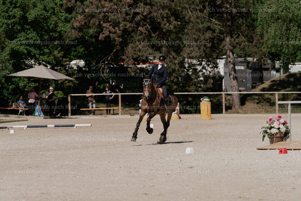 WE_ST_Stoib_329_PI2025_921 | Pferd International München 2025