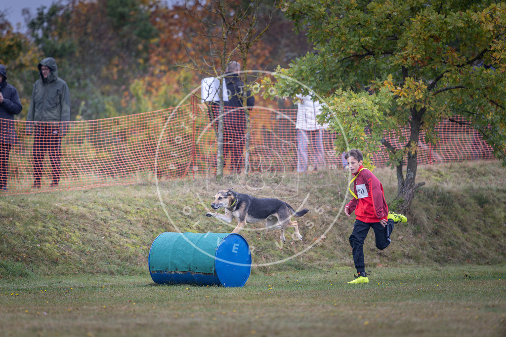 Pfotenfotografie_DV3A0574 | Hundefotografie, Tierfotograf, Pfotenfotografie, Fotoshooting Hund, Hunde Portrait, Hundesport, Hundeportraits, Heideshooting, Hunde, Sportfotograf, Hundefotograf, Turnierhundsport, THS,  - Realisiert mit Pictrs.com