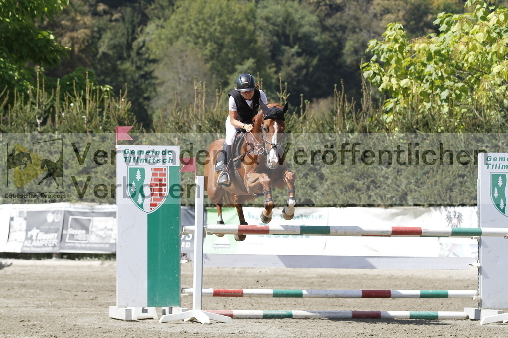 _MG_6411 | equestrian-live-com