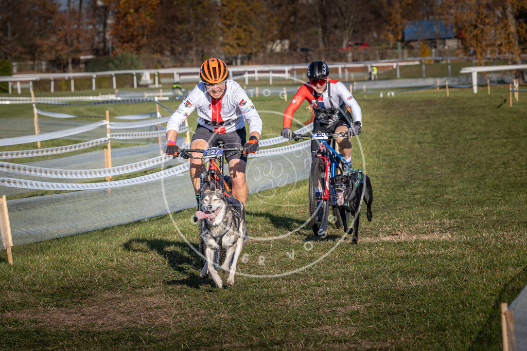 CaniXpix_0L8A4686 | Hundefotografie, Tierfotograf, Pfotenfotografie, Fotoshooting Hund, Hunde Portrait, Hundesport, Hundeportraits, Heideshooting, Hunde, Sportfotograf, Hundefotograf, Turnierhundsport, THS,  - Realisiert mit Pictrs.com