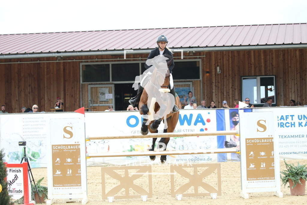 DL2Q7904 | Willkommen bei Brunnmayr - Design & Fotografie – Ihrem Spezialisten für Reitturniere und Pferdeveranstaltungen in Oberösterreich, Salzburg und Bayern! Seit über 17 Jahren sind wir leidenschaftlich dabei.