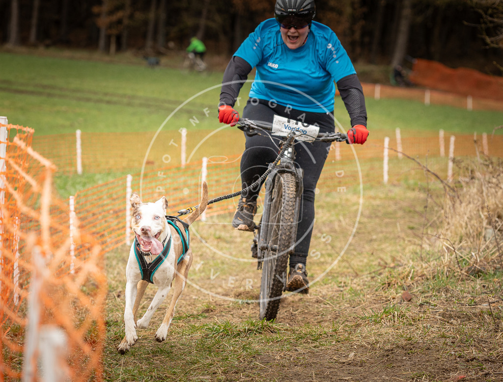 DV3A0838 | Hundefotografie, Tierfotograf, Pfotenfotografie, Fotoshooting Hund, Hunde Portrait, Hundesport, Hundeportraits, Heideshooting, Hunde, Sportfotograf, Hundefotograf, Turnierhundsport, THS,  - Realisiert mit Pictrs.com