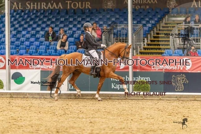 28-8-26 5j DRE-308 | mandyhollmannphotographie