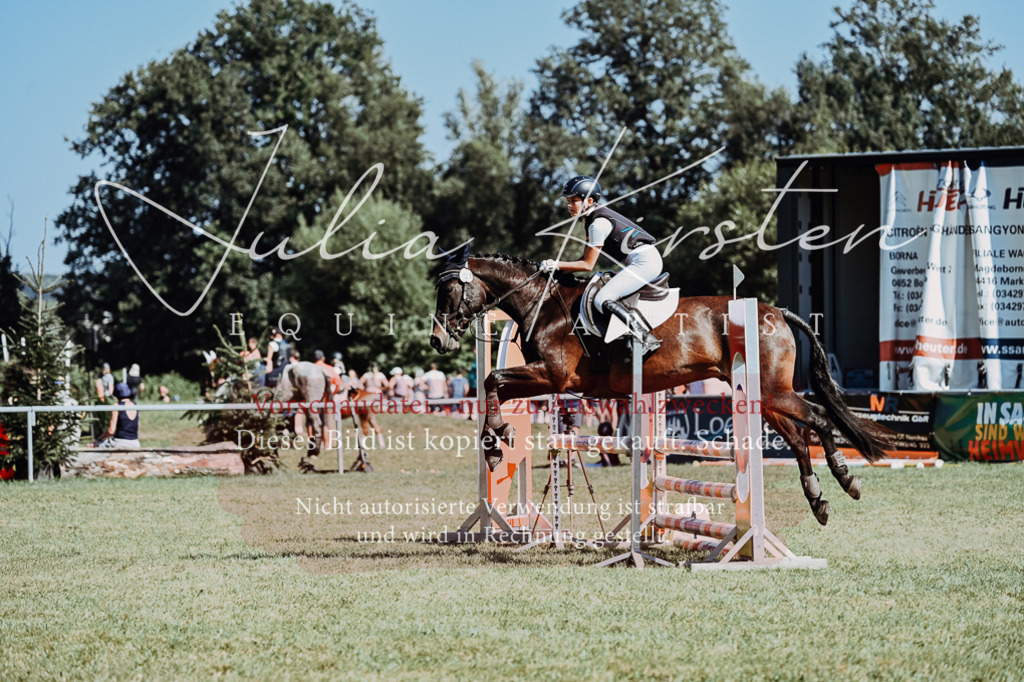 DSC_6775 | Pferde- und Turnierfotografie in Westsachsen. Pferdeportraits, Auftragszeichnungen und intuitive Kunst.