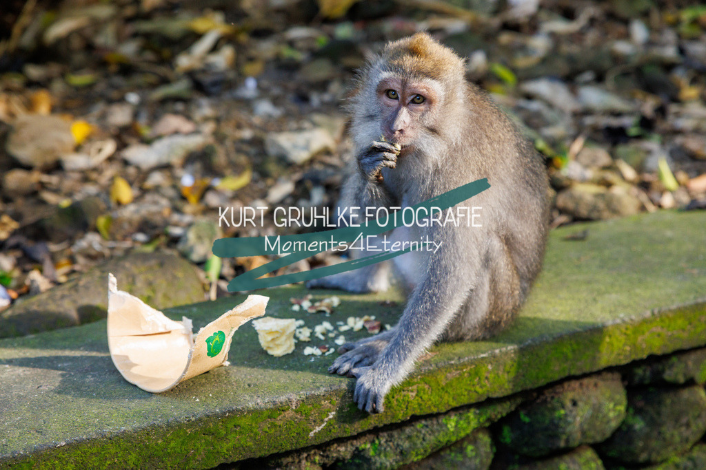 230718-0166 | onlinegalerie und Fotoshop Kurt Gruhlke Fotograf Berlin
Hochzeitsfotograf Eventfotograf Portraitfotografie
 - Realisiert mit Pictrs.com