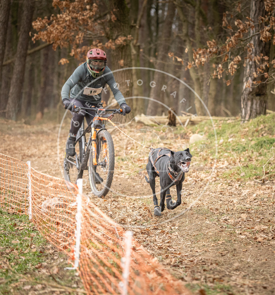 Pfotenfotografie_DV3A2704 | Hundefotografie, Tierfotograf, Pfotenfotografie, Fotoshooting Hund, Hunde Portrait, Hundesport, Hundeportraits, Heideshooting, Hunde, Sportfotograf, Hundefotograf, Turnierhundsport, THS,  - Realisiert mit Pictrs.com