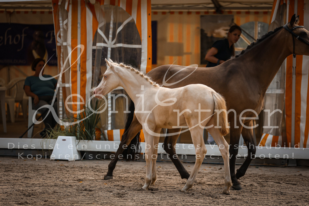 10.DoRP00039 | Leoni Ertmer Photography - Realisiert mit Pictrs.com