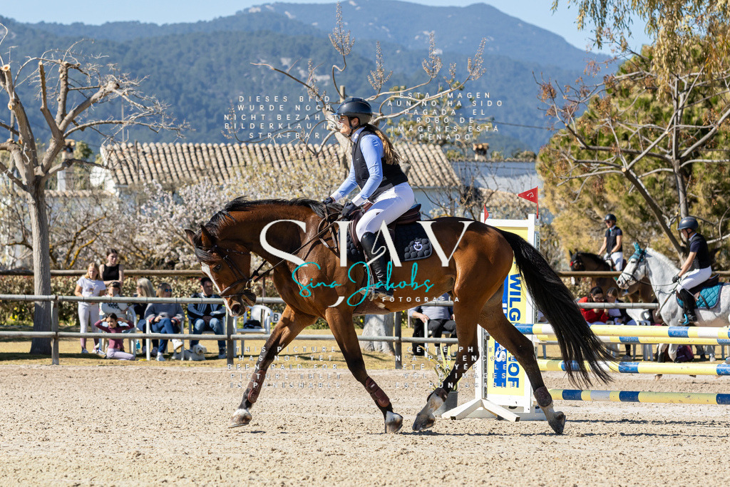 IMG_0211 | s-jay-photography - Realisiert mit Pictrs.com