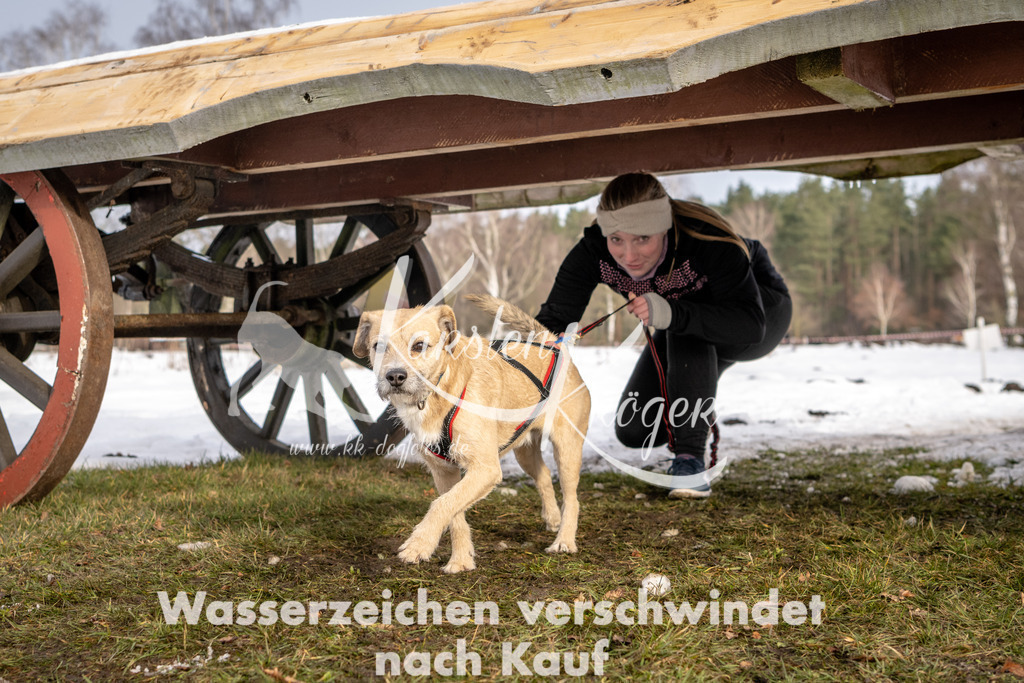0858_ZZ93333-2 | kk-dogfotos
