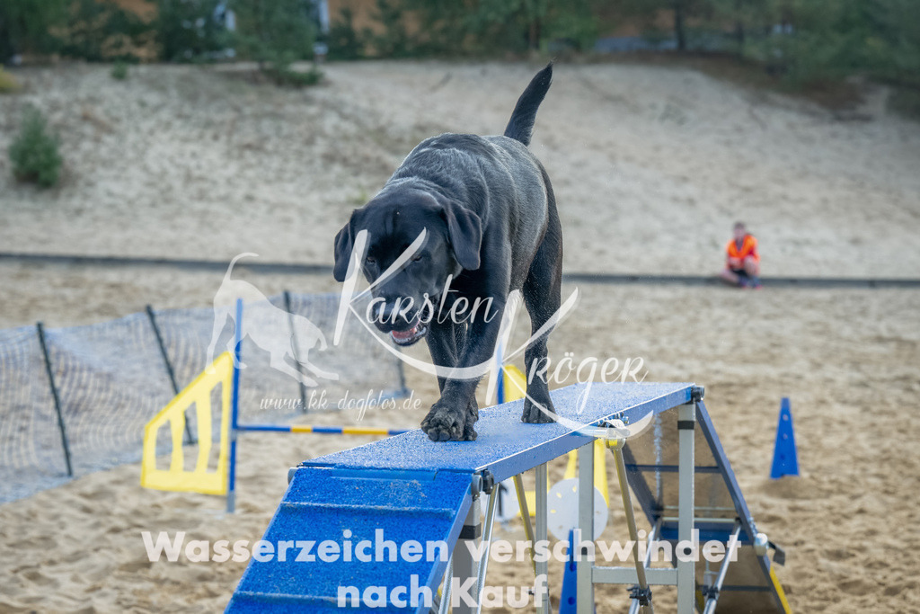 0906_ZZ91859-Bearbeitet | kk-dogfotos