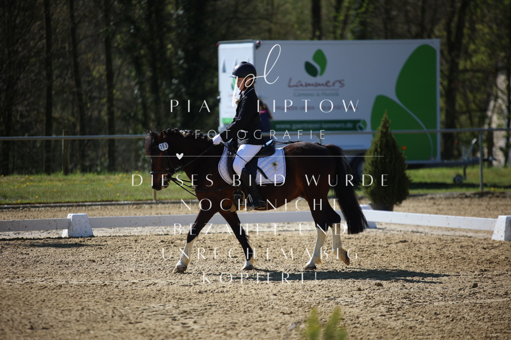 IMGT0180 | pl-fotografie