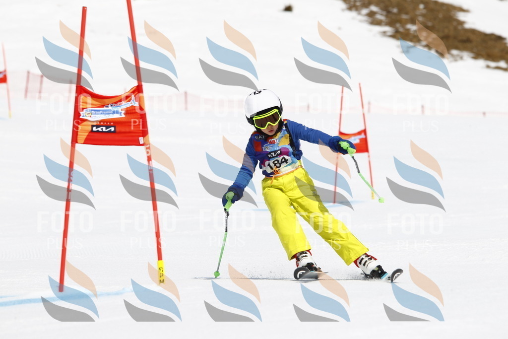 _U3G4836 | holidayphoto