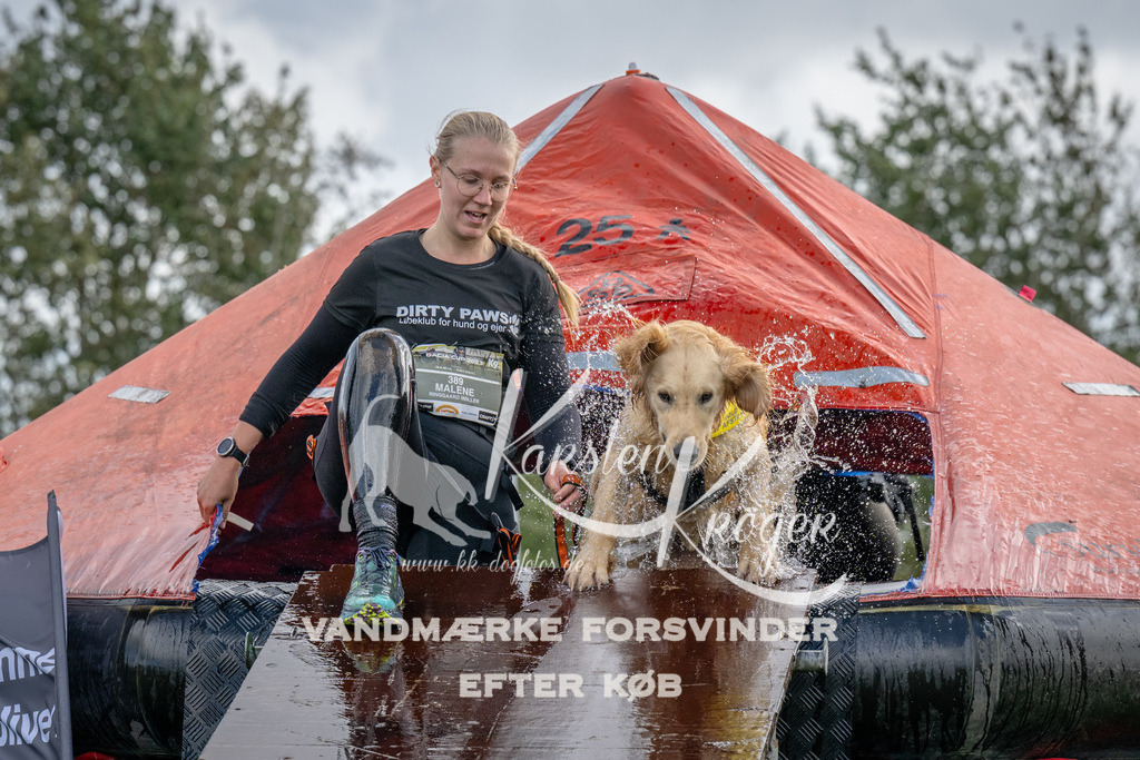 1222-93509 | kk-dogfotos