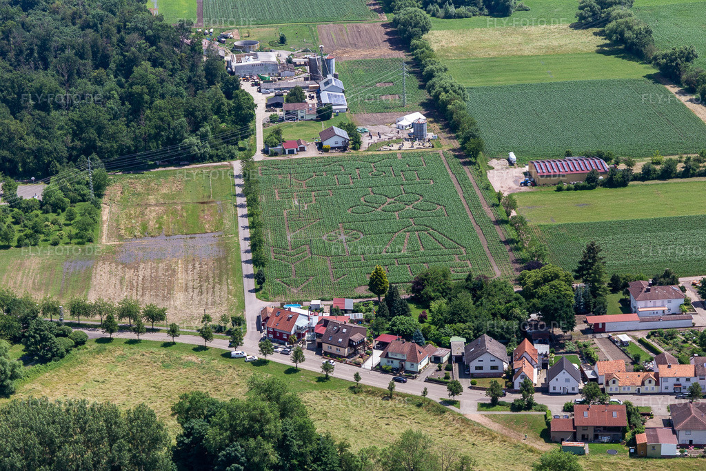 Luftbild: Maislabyrinth & Beachlounge Steinweiler Seehof in Steinweiler im Bundesland Rheinland-Pfalz in Deutschland. Foto: IMG_127243.jpg vom 26.06.2021 durch Werner Riehm/FLY-FOTO.de