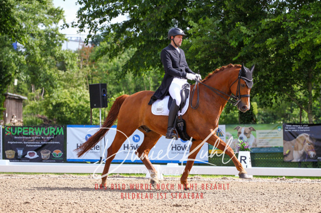 DKP41273 | Turnierfotos kaufen im Webshop von Daniel Kuhl Photography – entdecke professionelle Reitsportfotos aus Turnieren & Events. Hochwertige Turnierbilder online bestellen & sichern. Jetzt Fotos von Reitsportturnieren kaufen!